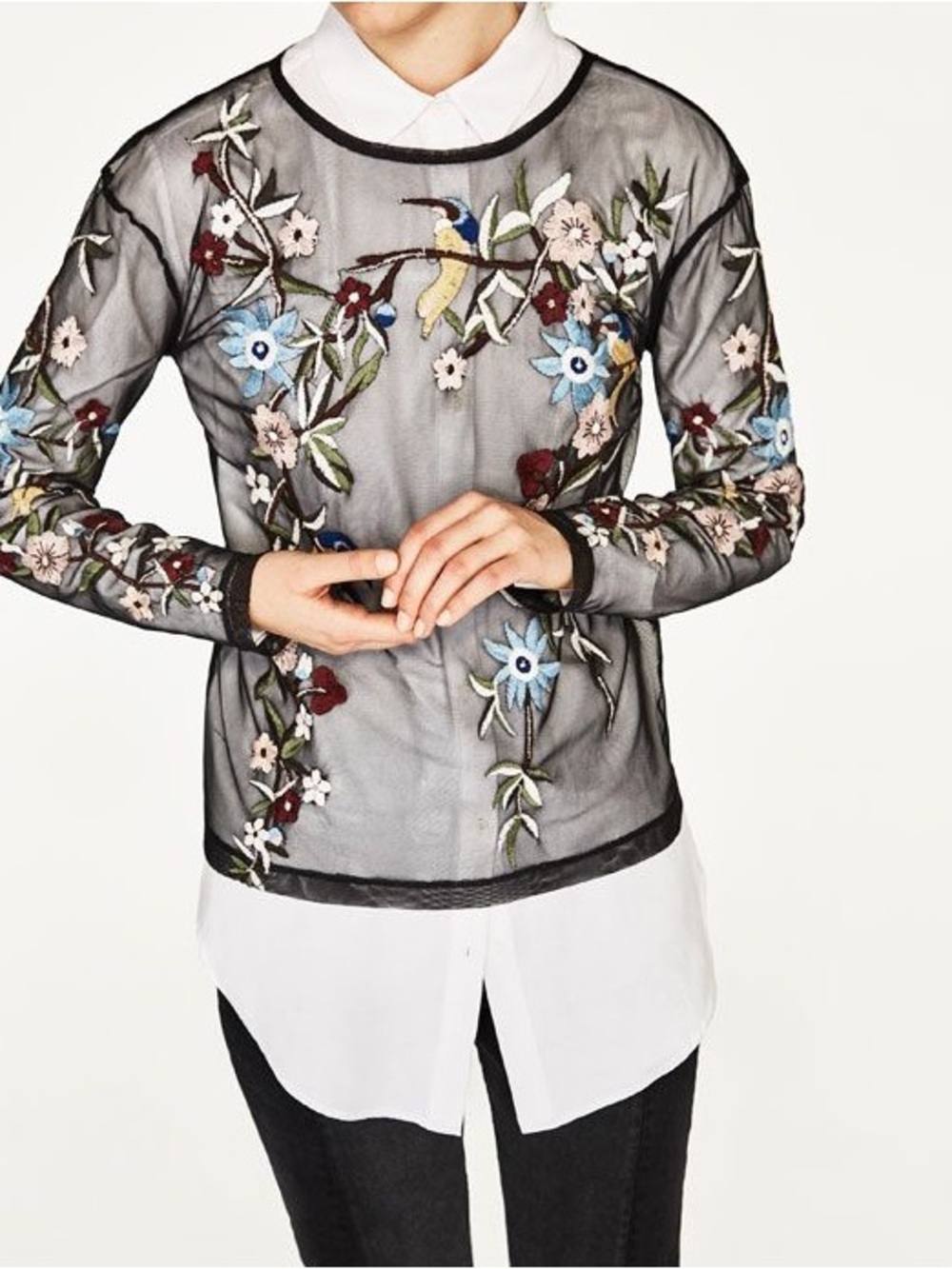 Zara Women’s Sheer Tulle Black Floral Embroidered Long-Sleeve Top